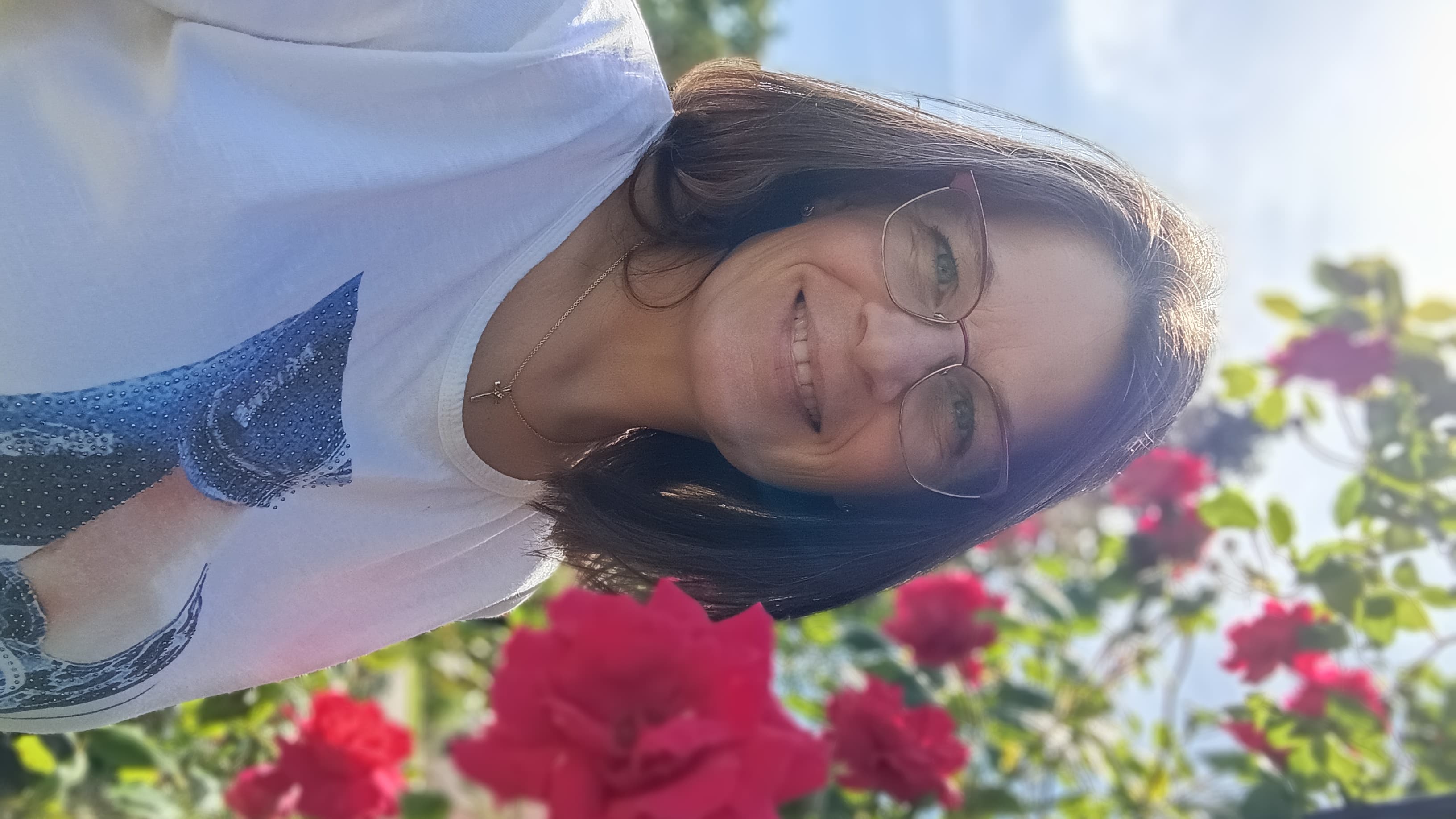 Sandra - Sandrakisseler